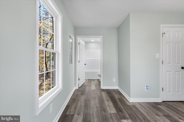 hall featuring dark wood-style flooring, a wealth of natural light, and baseboards