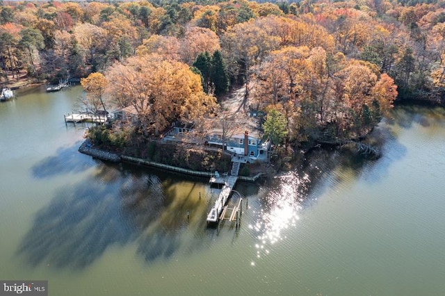 birds eye view of property featuring a water view and a forest view