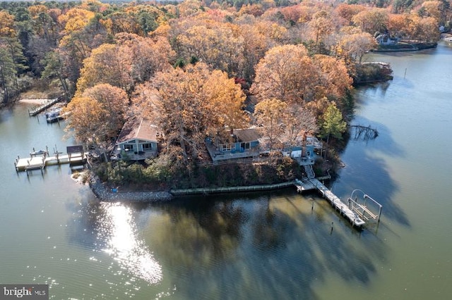 bird's eye view with a water view and a wooded view