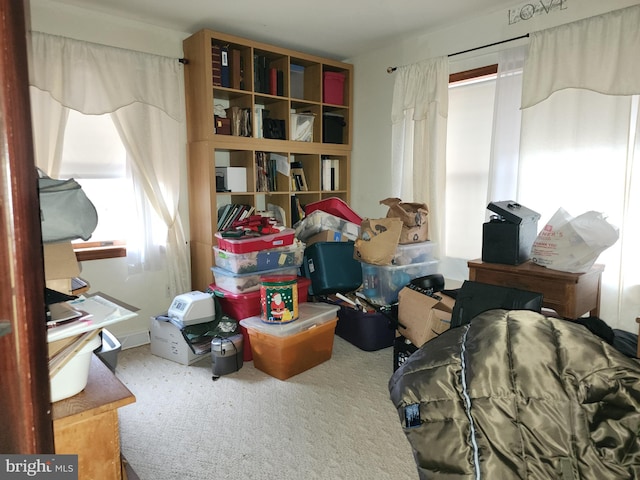 interior space featuring carpet floors