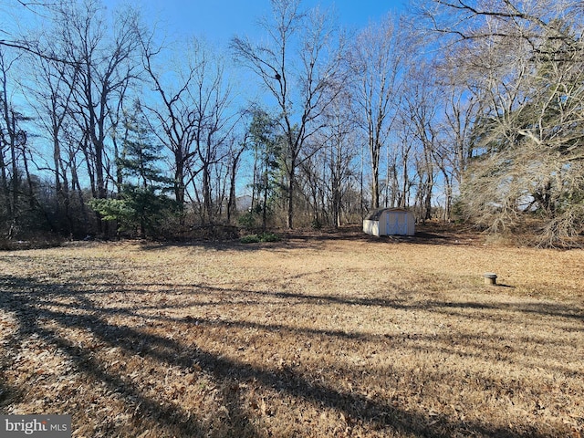 view of yard with a storage shed and an outdoor structure