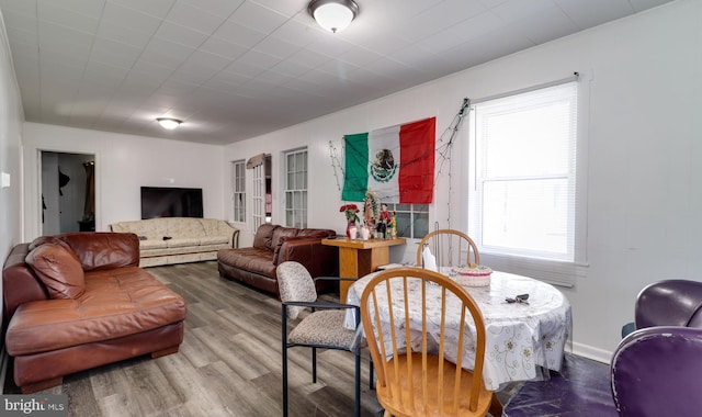 living area with wood finished floors