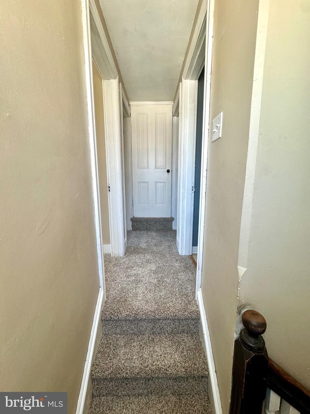 hall featuring carpet floors and baseboards