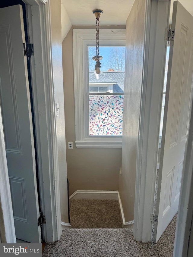 interior space with carpet and baseboards