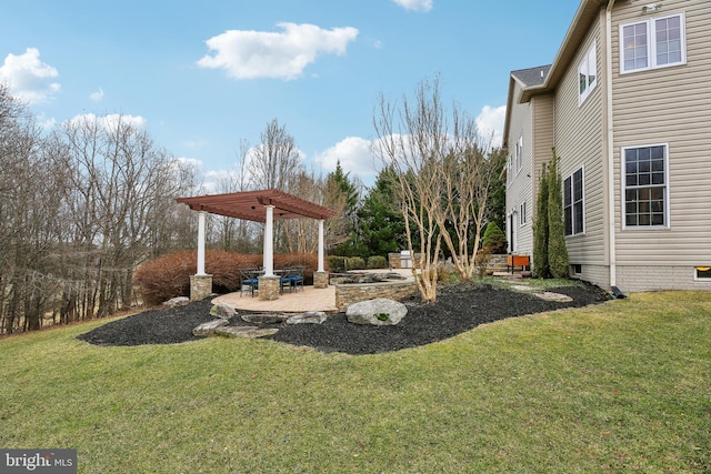 view of yard featuring a patio