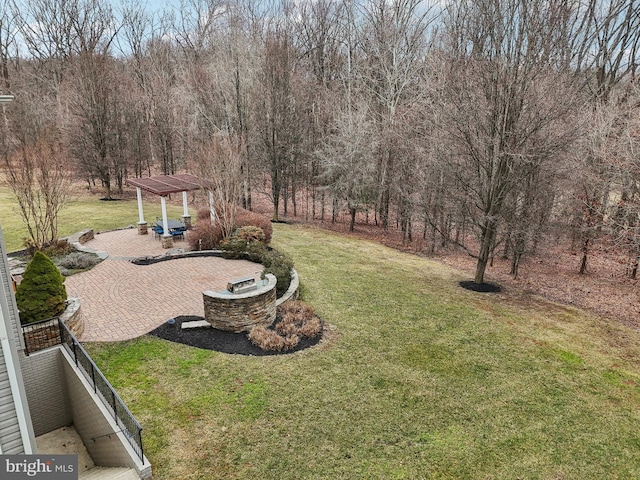 view of yard with a patio area