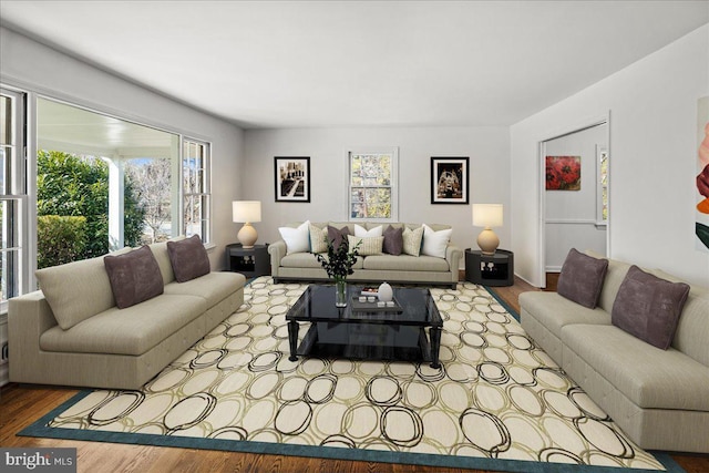 living area with plenty of natural light and wood finished floors