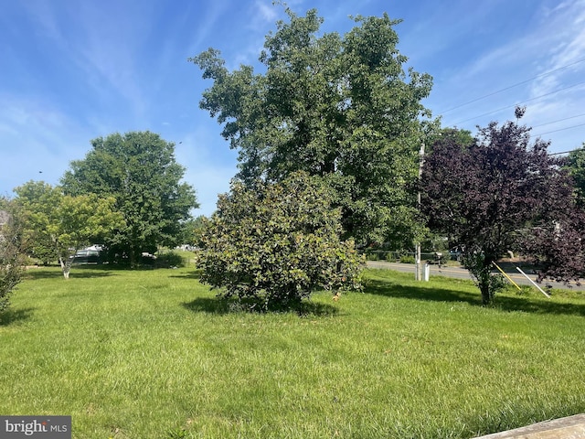 6621 Schoolhouse Rd, Bealeton, VA 22712 - view of grassy yard