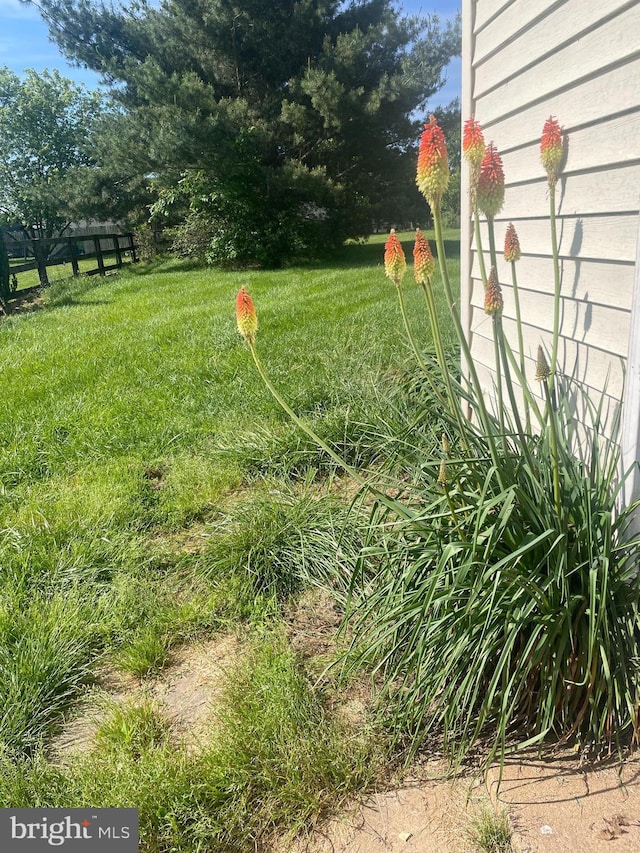 6621 Schoolhouse Rd, Bealeton, VA 22712 - view of yard