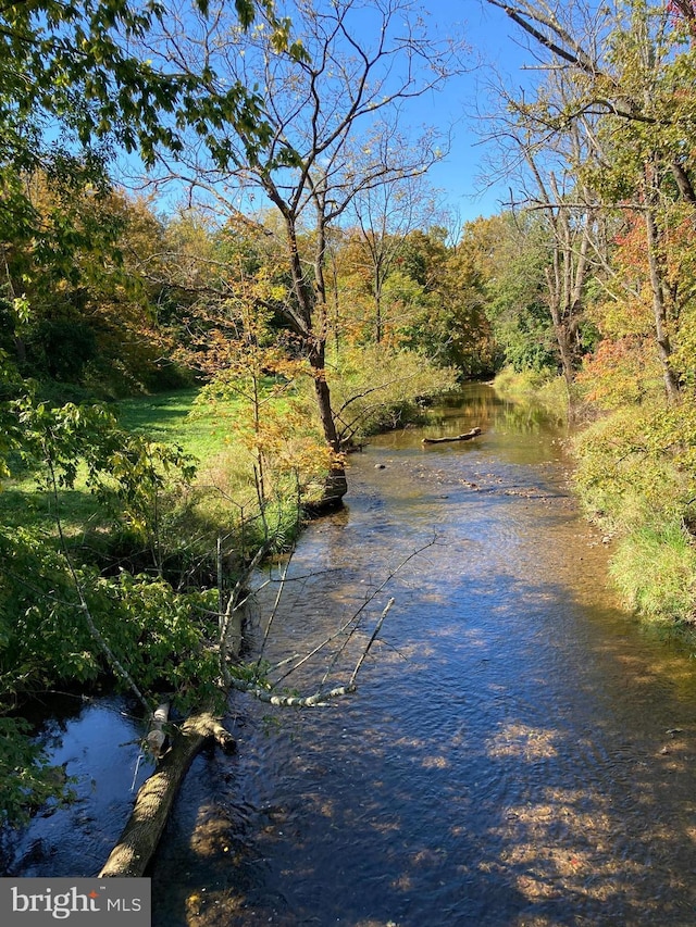 property view of water featuring a view of trees