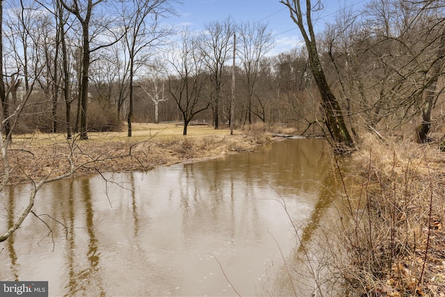 property view of water featuring a view of trees