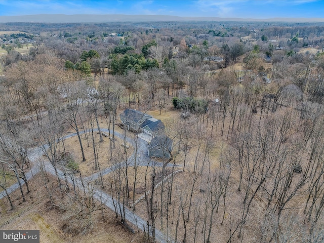 bird's eye view with a view of trees