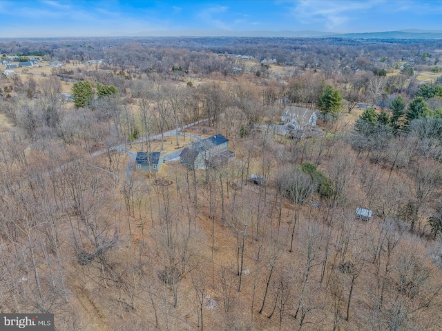 bird's eye view featuring a view of trees