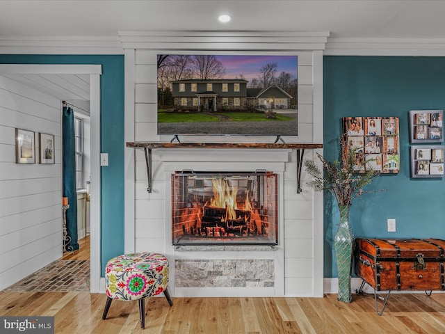 interior details featuring a fireplace and wood finished floors