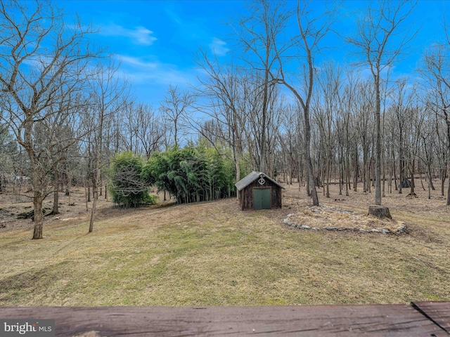 view of yard with a storage shed and an outdoor structure