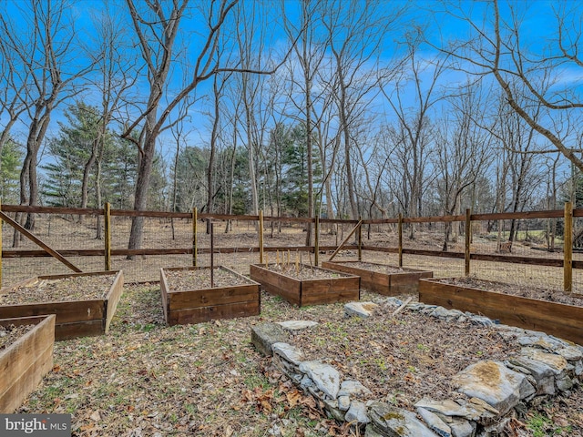 view of yard featuring a vegetable garden