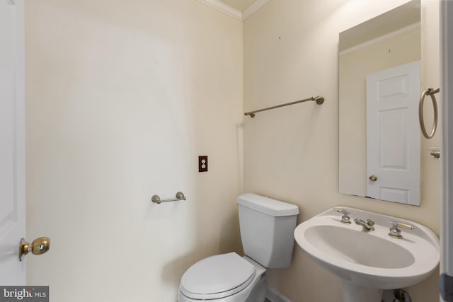 half bath with ornamental molding, a sink, and toilet