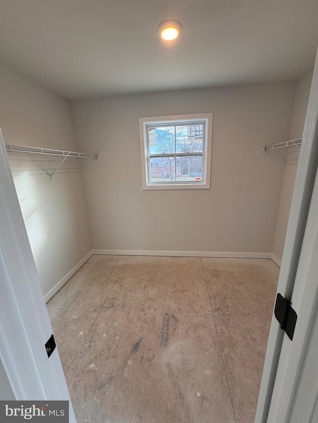 view of spacious closet