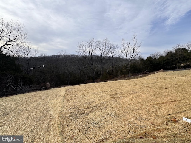 view of yard featuring a view of trees