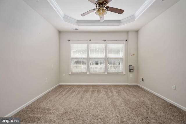 spare room with baseboards, a raised ceiling, ceiling fan, carpet, and crown molding