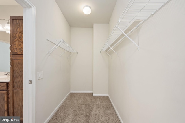 walk in closet with light carpet and a sink