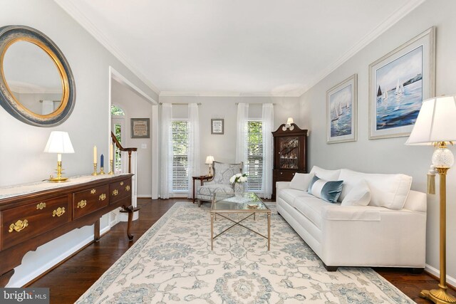 living area with crown molding, baseboards, and dark wood-type flooring
