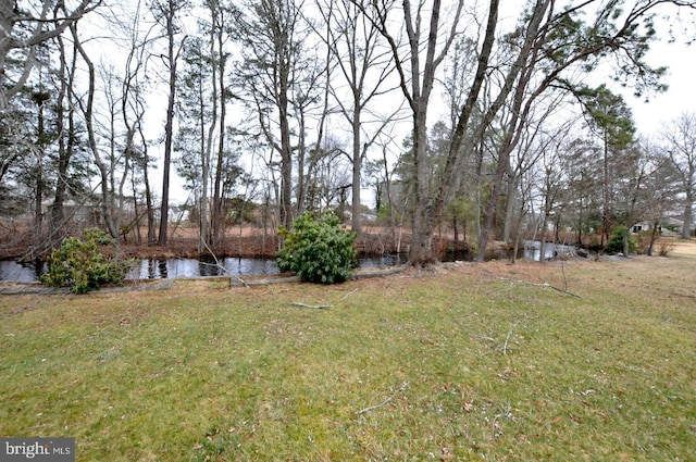 view of yard with a water view