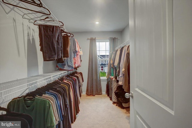 spacious closet with light colored carpet