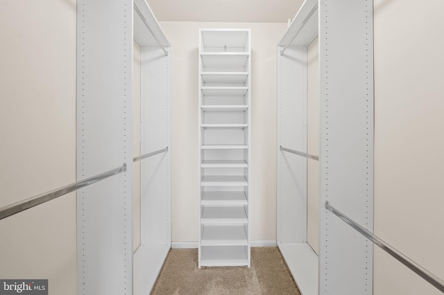 walk in closet featuring carpet