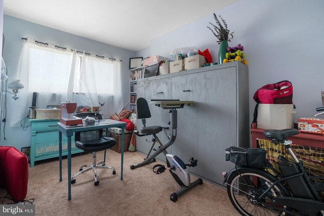 office area with carpet floors