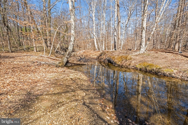 view of water feature with a wooded view