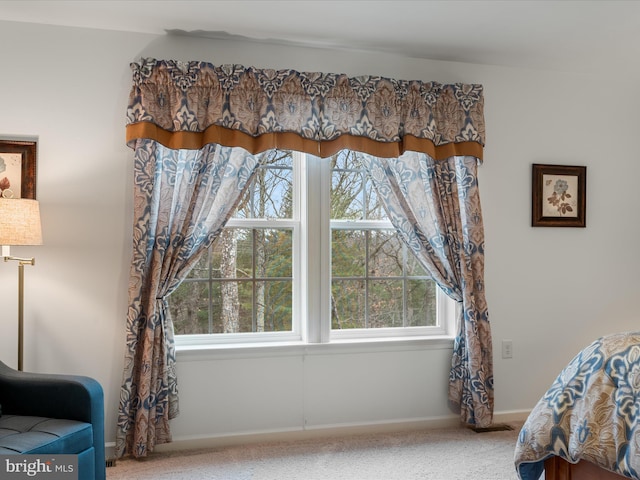 interior space featuring multiple windows, carpet, and baseboards