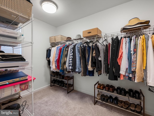 walk in closet with carpet floors