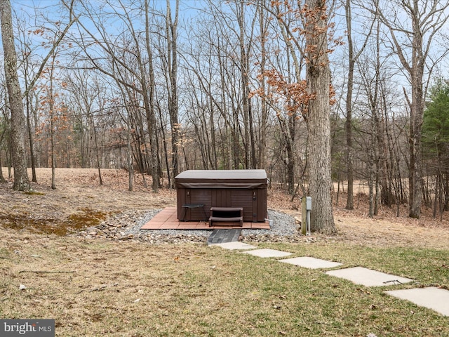 view of yard with a hot tub