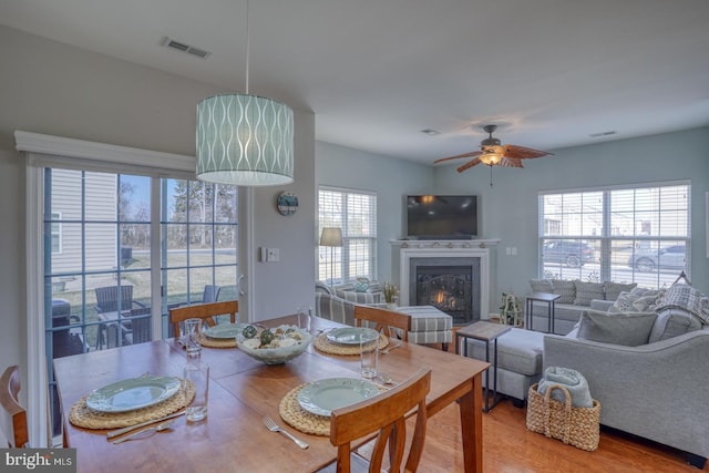 dining space featuring a ceiling fan, a glass covered fireplace, visible vents, and wood finished floors