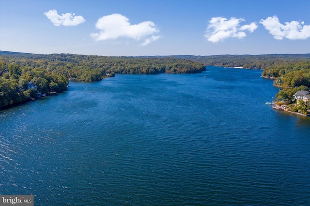 water view with a wooded view