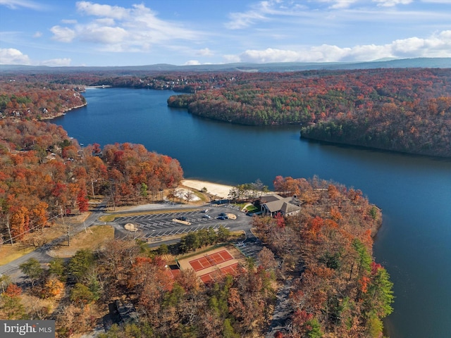 aerial view featuring a water view and a view of trees