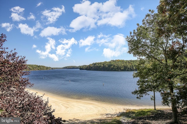 water view with a forest view