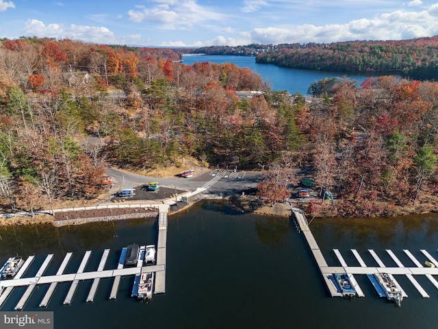 aerial view featuring a water view and a view of trees