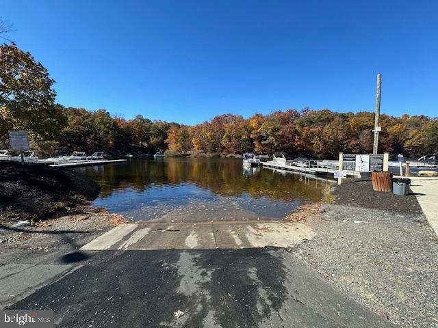 view of dock with a water view and a view of trees