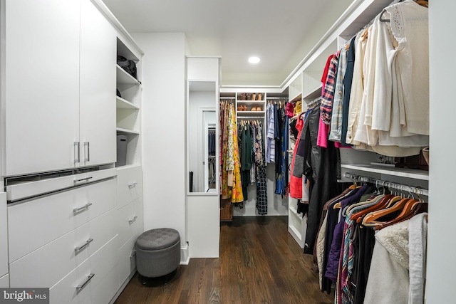 walk in closet with dark wood-type flooring