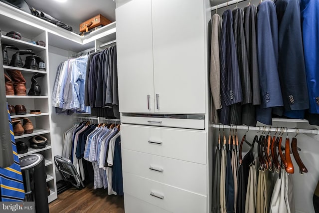 spacious closet featuring dark wood-type flooring