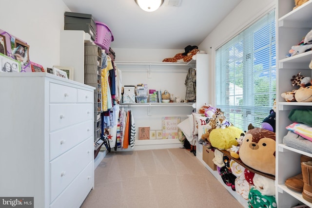 spacious closet featuring carpet floors