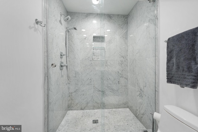 bathroom with a stall shower and toilet