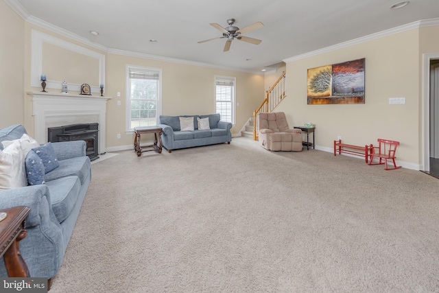 carpeted living room featuring baseboards, stairway, and crown molding