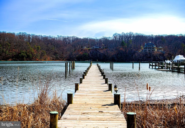 dock area featuring a wooded view and a water view