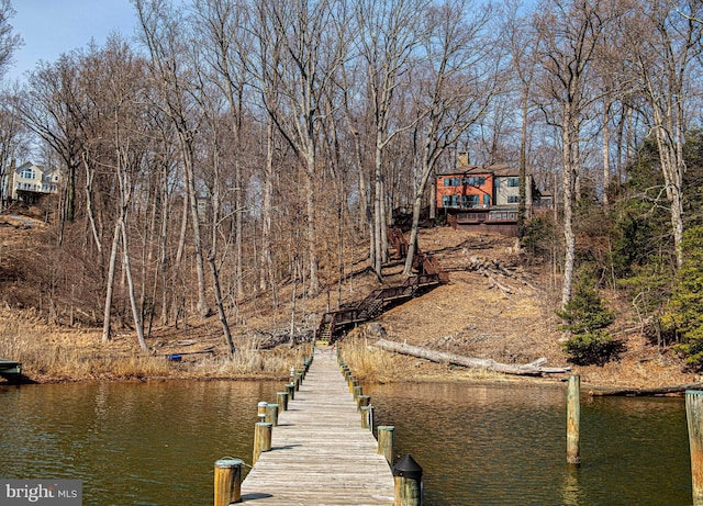 dock area with a water view