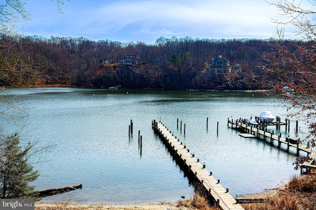 view of dock featuring a view of trees and a water view