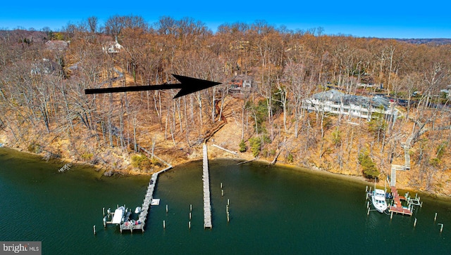 drone / aerial view featuring a water view and a view of trees