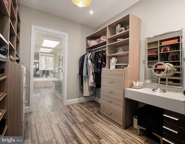 spacious closet featuring dark wood-style flooring